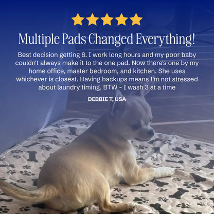 🐶😸Hot Sale-49% OFF🔥Premium Reusable Super Absorbent Puppy Pad🐾 (Kitten & Other Pets)