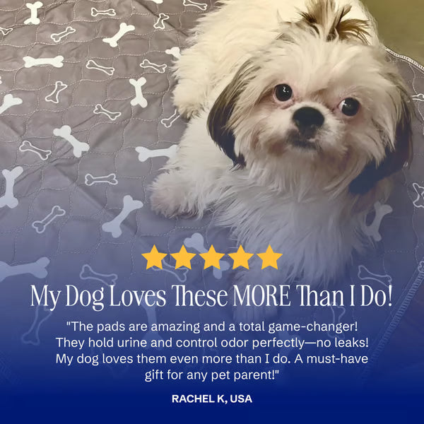 🐶😸Hot Sale-49% OFF🔥Premium Reusable Super Absorbent Puppy Pad🐾 (Kitten & Other Pets)
