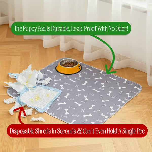 🐶😸Hot Sale-49% OFF🔥Premium Reusable Super Absorbent Puppy Pad🐾 (Kitten & Other Pets)