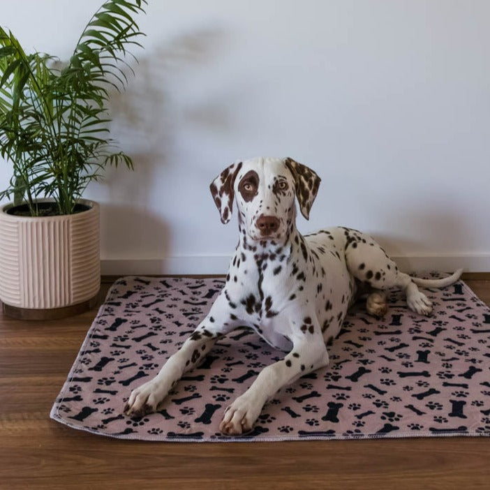 🐶😸Hot Sale-49% OFF🔥Premium Reusable Super Absorbent Puppy Pad🐾 (Kitten & Other Pets)