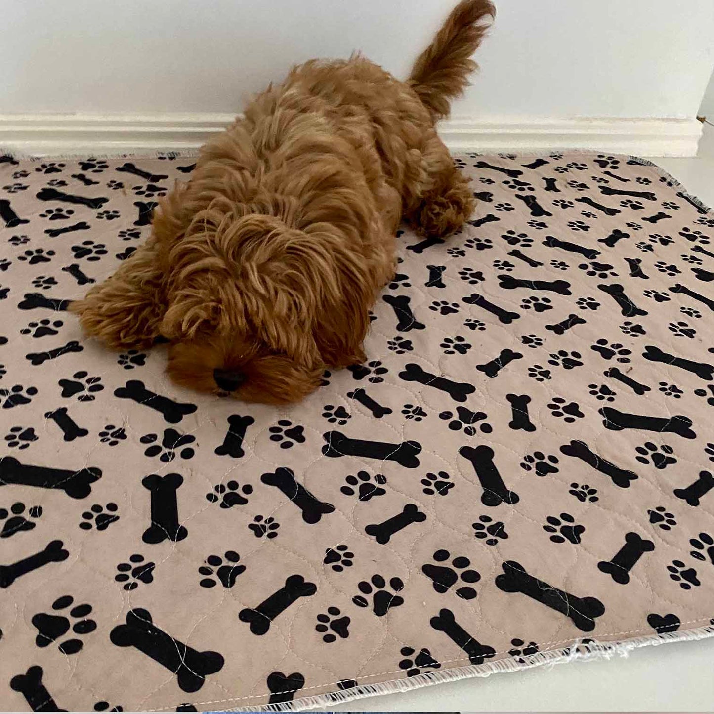 🐶😸Hot Sale-49% OFF🔥Premium Reusable Super Absorbent Puppy Pad🐾 (Kitten & Other Pets)