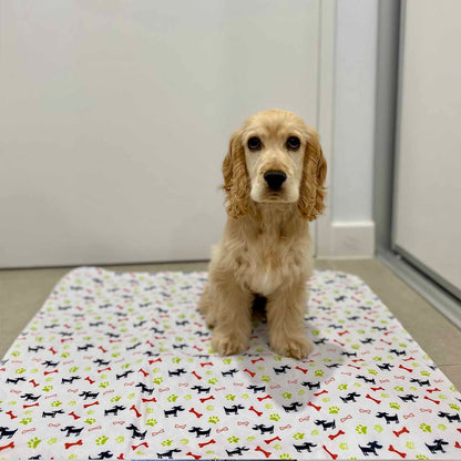 🐶😸Hot Sale-49% OFF🔥Premium Reusable Super Absorbent Puppy Pad🐾 (Kitten & Other Pets)