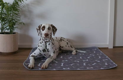 🐶😸Hot Sale-49% OFF🔥Premium Reusable Super Absorbent Puppy Pad🐾 (Kitten & Other Pets)