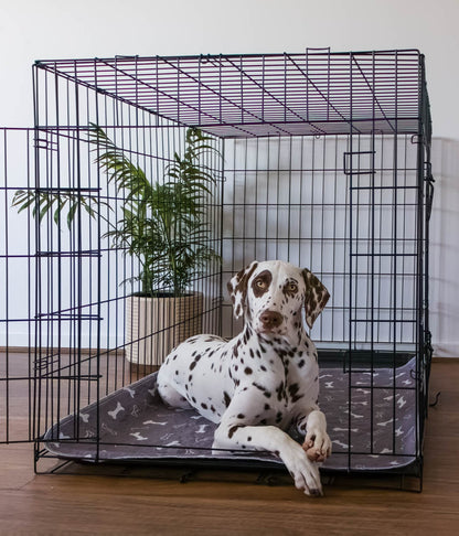 🐶😸Hot Sale-49% OFF🔥Premium Reusable Super Absorbent Puppy Pad🐾 (Kitten & Other Pets)