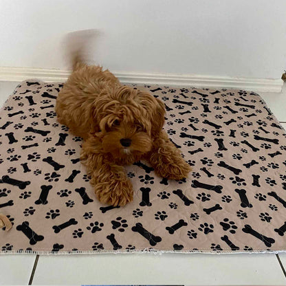 🐶😸Hot Sale-49% OFF🔥Premium Reusable Super Absorbent Puppy Pad🐾 (Kitten & Other Pets)